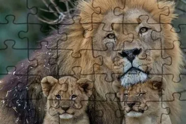 ANIMALES jigsaw puzzle