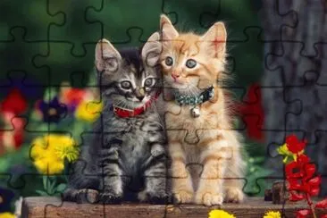 ANIMALES jigsaw puzzle