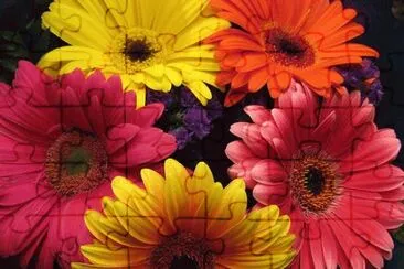 Beautiful Gerberas