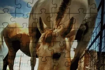 Tater and Heaven owned by Alexus Abbott jigsaw puzzle