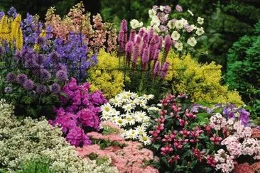 Gorgeous Perennial Garden