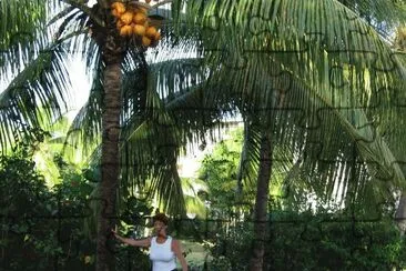 guadeloupe