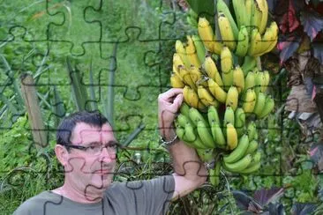 martinique jigsaw puzzle
