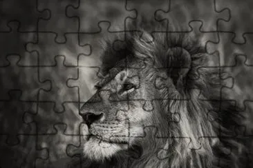 Big Cat jigsaw puzzle