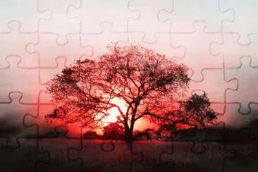 å¤•é™½ jigsaw puzzle