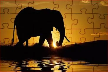 ELEFANTE CHIMUELO