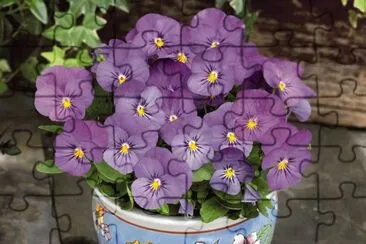 Pretty Dainty Violas jigsaw puzzle