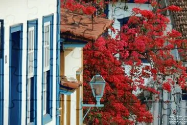 flores jigsaw puzzle