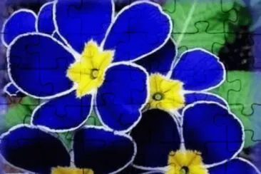 flores3 jigsaw puzzle