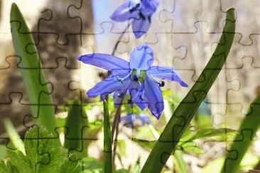 imagens jigsaw puzzle