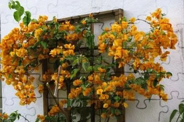 imagens jigsaw puzzle
