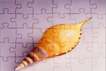 æ¼‚äº®çš„è²æ®¼ jigsaw puzzle