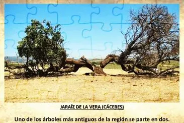 JARAÃZ DE LA VERA (CÃCERES) - ALCORNOQUE PARTIDO