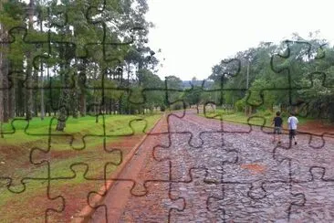 En El Dorado. Misiones. Argentina jigsaw puzzle