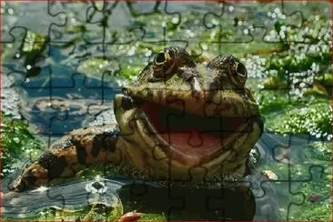 SAPO
