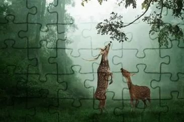 é¹¿ jigsaw puzzle