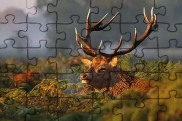 é¹¿ jigsaw puzzle