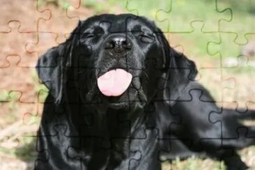 lÃ­ngua pra fora jigsaw puzzle
