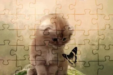gatinho jigsaw puzzle