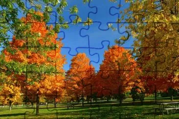 6 jigsaw puzzle