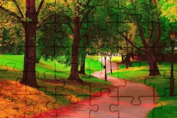 11 jigsaw puzzle