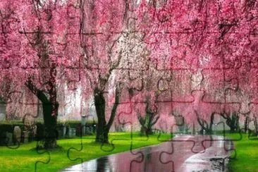 14 jigsaw puzzle