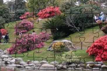 campo florido
