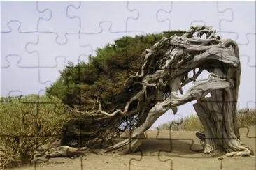 imagens jigsaw puzzle