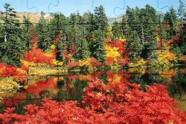 paisaje japoneÂ´s jigsaw puzzle
