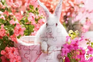 Cute Bunny in a Basket