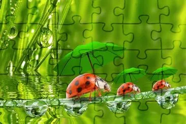 Fotos graciosas jigsaw puzzle