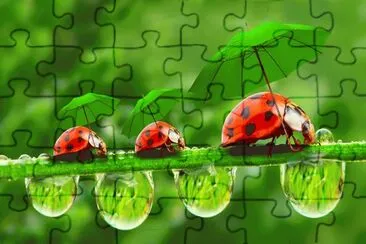 Fotos graciosas jigsaw puzzle