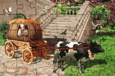 Fotos graciosas jigsaw puzzle