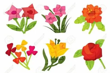 flores
