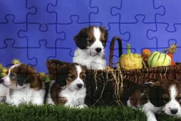 Gossets jigsaw puzzle