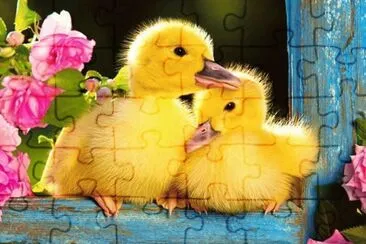 imagens jigsaw puzzle