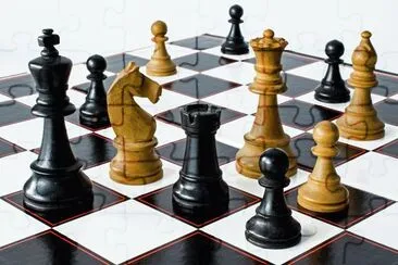Fotos Graciosas jigsaw puzzle