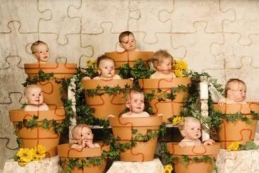 Fotos Graciosas jigsaw puzzle