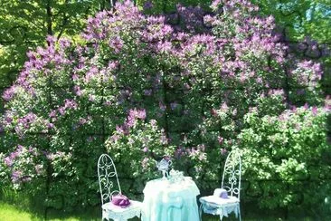 Pretty Garden Tea Setting jigsaw puzzle
