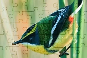 é³¥ jigsaw puzzle