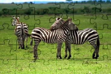 imagens jigsaw puzzle