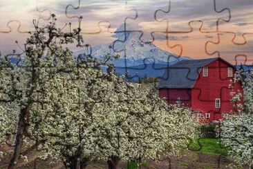 NATUREZA jigsaw puzzle