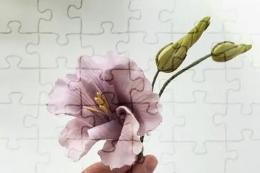 פאזל של imagens