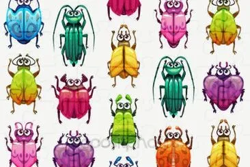 insectos jigsaw puzzle