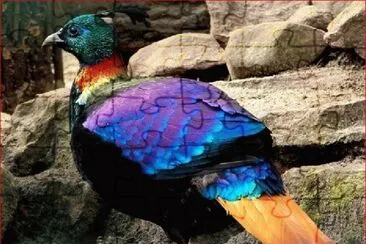 AZUL TURQUESA jigsaw puzzle