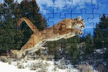 jumping jigsaw puzzle