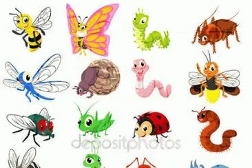 insectos jigsaw puzzle