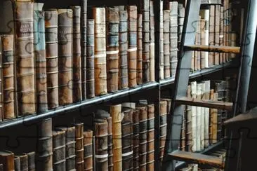 פאזל של Ireland Library Books