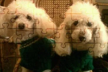 solimag jigsaw puzzle