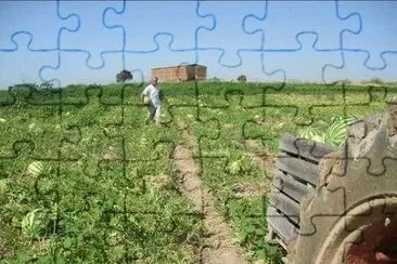 פאזל של Sandial